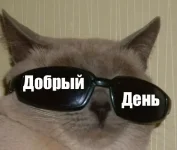 1781882667741.webp