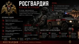 Инфа об орге.webp
